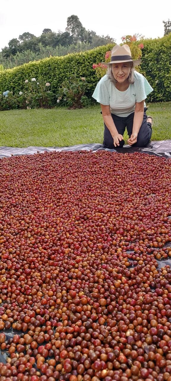 Mi mamá, la mujer caficultora de Monte Aurora, con las cerezas de café secándose en la finca en Palestina, Caldas