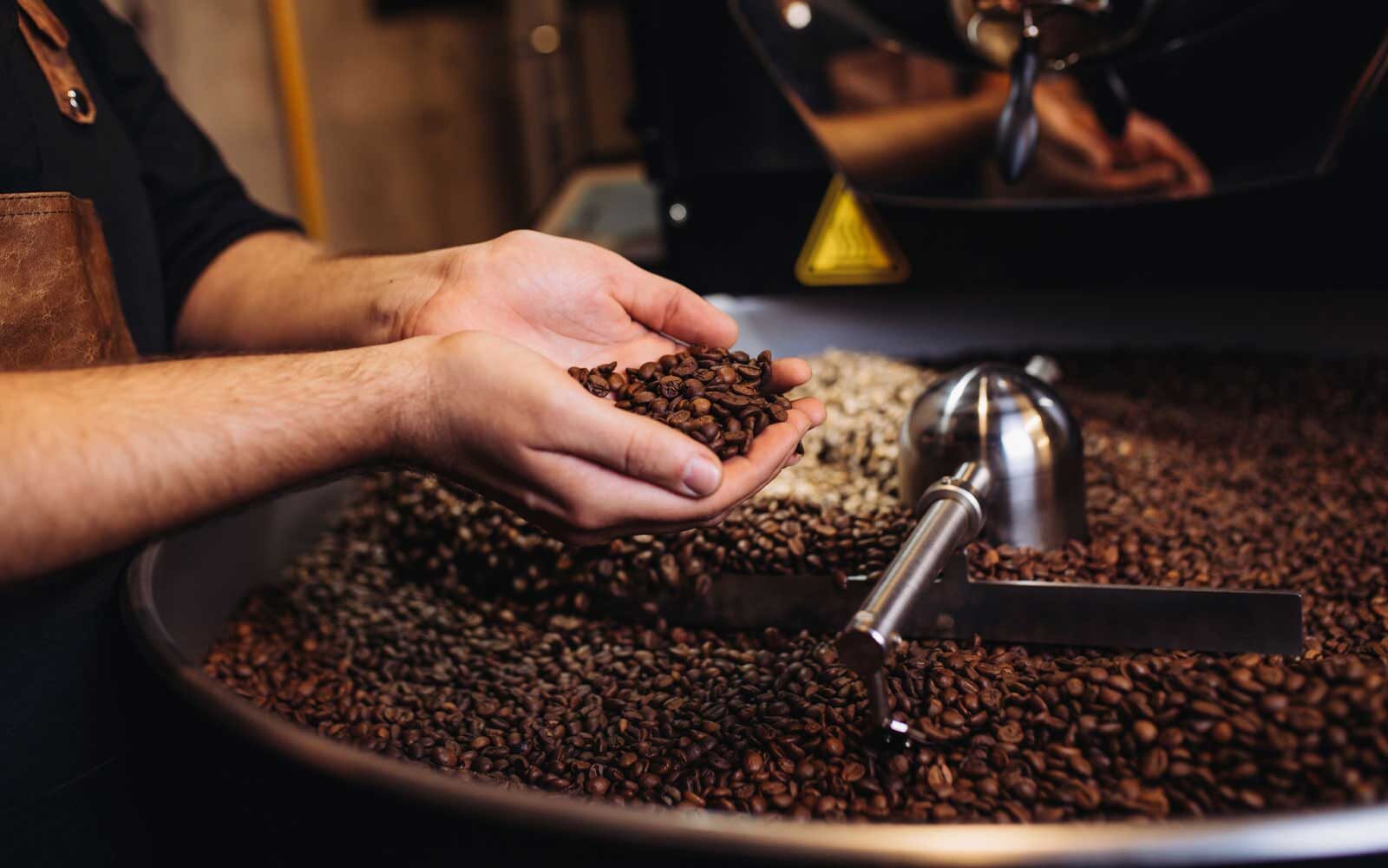 Tueste artesanal del café Monte Aurora en pequeños lotes